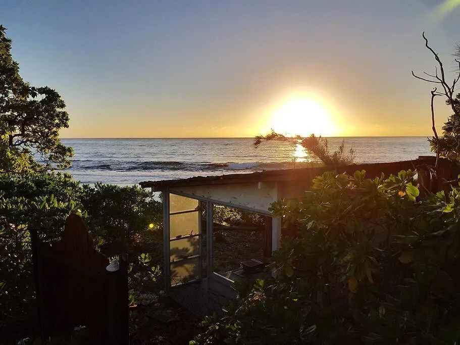 Ocean Side Bungalow Teavaro French Polynesia